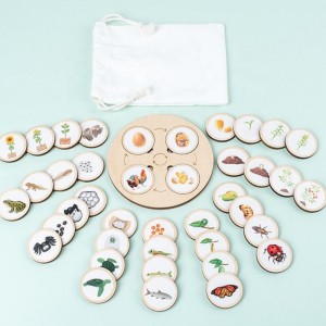 Đồ chơi Khai sáng bằng gỗ Trẻ em tự làm câu đố Yizhi